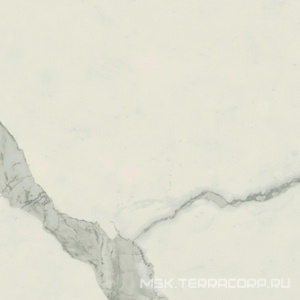 Керамогранит для пола и стены AtlasConcorde Россия EMPIRE Empire Statuario 60x60 /ЭМПАИР СТАТУАРИО 60x60 610010002191