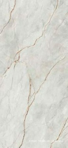 Керамогранит для пола и стены Imola The Room Gre Ro6 260LP  120x260 XX n128079