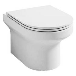 Унитаз подвесной Jacob Delafon Elite EDX114RU-00 безободковый| 50x36x36