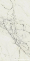 Marvel Calacatta Extra 60x120 Lappato