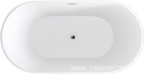 Акриловая ванна Black&White Swan SB103| 170x80x45