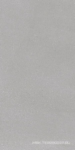 Керамогранит для пола и стены Ergon Medley Grey minimal nat.rett.ZZ30x60 EH71