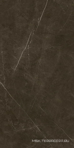 Керамогранит для пола и стены Benadresa Tessino  Bronze Nat 60x120 n127841