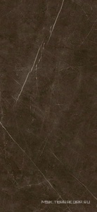 Керамогранит для пола и стены Benadresa Tessino  Bronze Pulido  6 мм 120х260 n127852