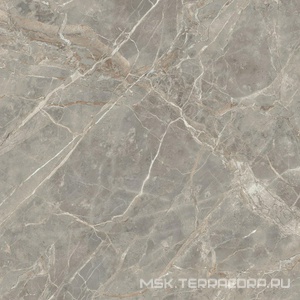Керамогранит для пола и стены Florim Magnum Etoile De Rex Etoile Gris Mat 120x120 761744