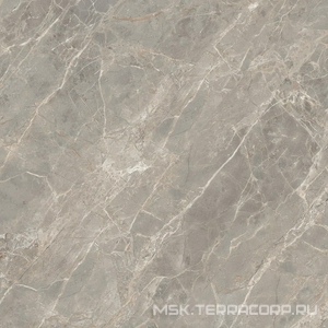 Керамогранит для пола и стены Florim Magnum Etoile De Rex Etoile Gris Mat 120x120 761744