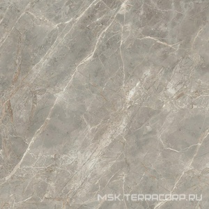 Керамогранит для пола и стены Florim Magnum Etoile De Rex Etoile Gris Mat 120x120 761744