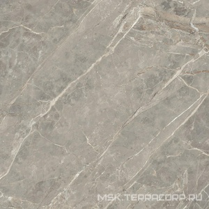 Керамогранит для пола и стены Florim Magnum Etoile De Rex Etoile Gris Mat 120x120 761744