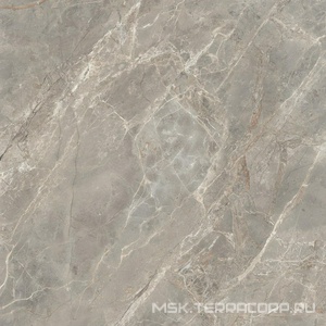 Керамогранит для пола и стены Florim Magnum Etoile De Rex Etoile Gris Mat 120x120 761744