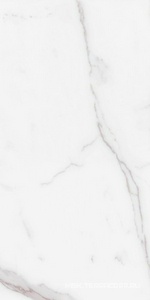 Керамогранит для пола и стены Benadresa Status  Pulido KL 60x120 n127840