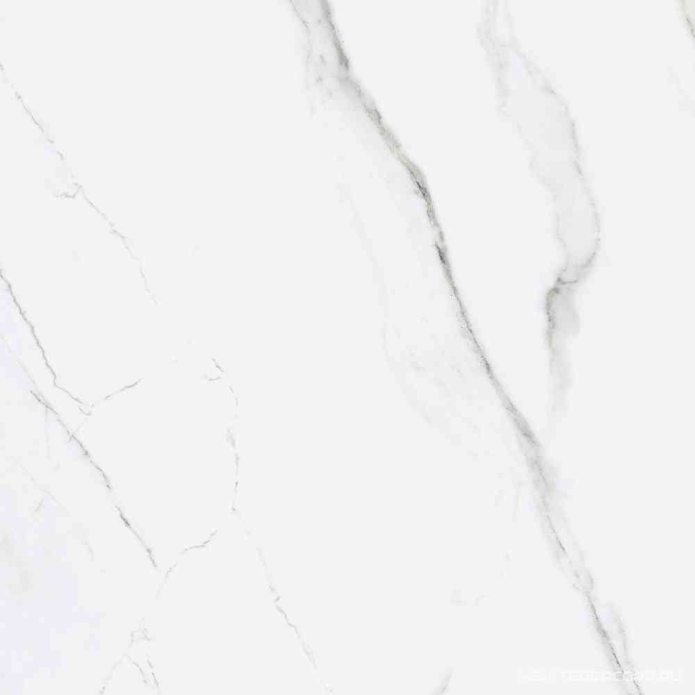 Iceberg Blanco ZZ |90x90