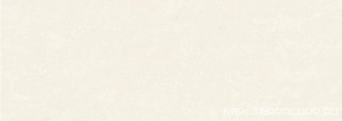 Provence beige XX|25.1х70.9