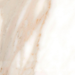 Calacatta Matt rec. ZZ|60x60
