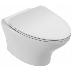 Унитаз подвесной Jacob Delafon Nouvelle Vague EDJ102-00| 54x39x35