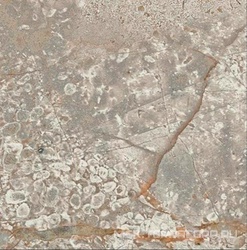 Empire Silver Root Bottone /ЭМПАИР СИЛЬВЕР РУТ ВСТАВКА 7,2x7,2