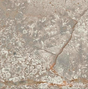 Керамогранит для пола и стены AtlasConcorde Россия EMPIRE Empire Silver Root Bottone /ЭМПАИР СИЛЬВЕР РУТ ВСТАВКА 7,2x7,2 610090002383