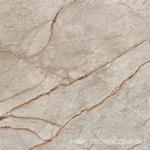 Керамогранит для пола и стены AtlasConcorde Россия EMPIRE Empire Silver Root 60x60 Lapp/ЭМПАИР СИЛЬВЕР РУТ 60x60 ЛАП 610015000625