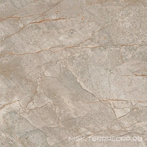 Керамогранит для пола и стены AtlasConcorde Россия EMPIRE Empire Silver Root 60x60 Lapp/ЭМПАИР СИЛЬВЕР РУТ 60x60 ЛАП 610015000625