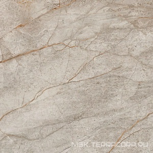 Керамогранит для пола и стены AtlasConcorde Россия EMPIRE Empire Silver Root 60x60 Lapp/ЭМПАИР СИЛЬВЕР РУТ 60x60 ЛАП 610015000625