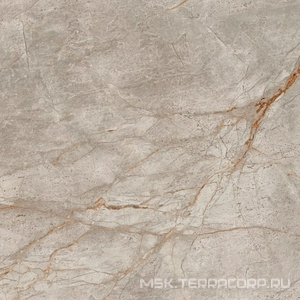 Керамогранит для пола и стены AtlasConcorde Россия EMPIRE Empire Silver Root Rett 80x80/ЭМПАИР СИЛЬВЕР РУТ РЕТ 80x80 610010002180