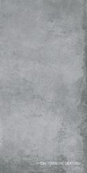 Alloy Grey alto briio (п.п. )ZZ |60x120