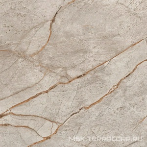 Керамогранит для пола и стены AtlasConcorde Россия EMPIRE Empire Silver Root 60x60 /ЭМПАИР СИЛЬВЕР РУТ 60x60 610010002194