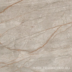 Керамогранит для пола и стены AtlasConcorde Россия EMPIRE Empire Silver Root 60x60 /ЭМПАИР СИЛЬВЕР РУТ 60x60 610010002194