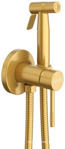 Смеситель совмещённый с гигиеническим душем, готовый комплект: лейка, шланг 120см., скрытая часть, (цв.брашированное золото), Relax ZZ Cezares relax RELAX-DIF-BORO
