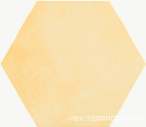 Agatha 21 Amarillo  ZZ|19,8x22,8