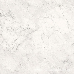 Керамогранит для пола и стены La Faenza Aesthetica AE CAL6 120 LP (п.п.)ZZ 120x120 179381