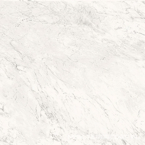 Керамогранит для пола и стены La Faenza Aesthetica AE CAL6 120 LP (п.п.)ZZ 120x120 179381