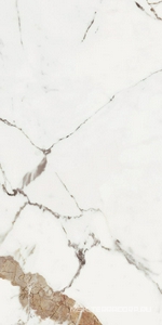 Керамогранит для пола и стены Florim Les Origines De Rex Les Origines Or Glossy 60x120 769858