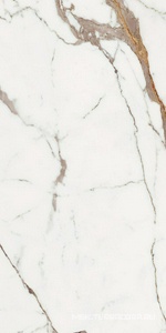 Керамогранит для пола и стены Florim Les Origines De Rex Les Origines Or Glossy 60x120 769858