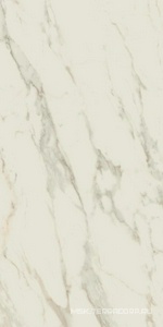 Керамогранит для пола и стены AtlasConcorde Россия EMPIRE Empire Arabescato Rett 60x120 Lapp/ЭМПАИР АРАБЕСКАТО РЕТ 60x120 ЛАП 610015000614