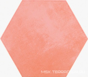 Agatha 21 Coral ZZ|19,8x22,8