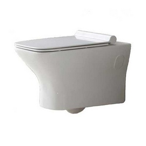Унитаз подвесной, безободковый, без сиденья, крепеж в компл.,  ZZ BelBagno Romano BB248CHR-SM