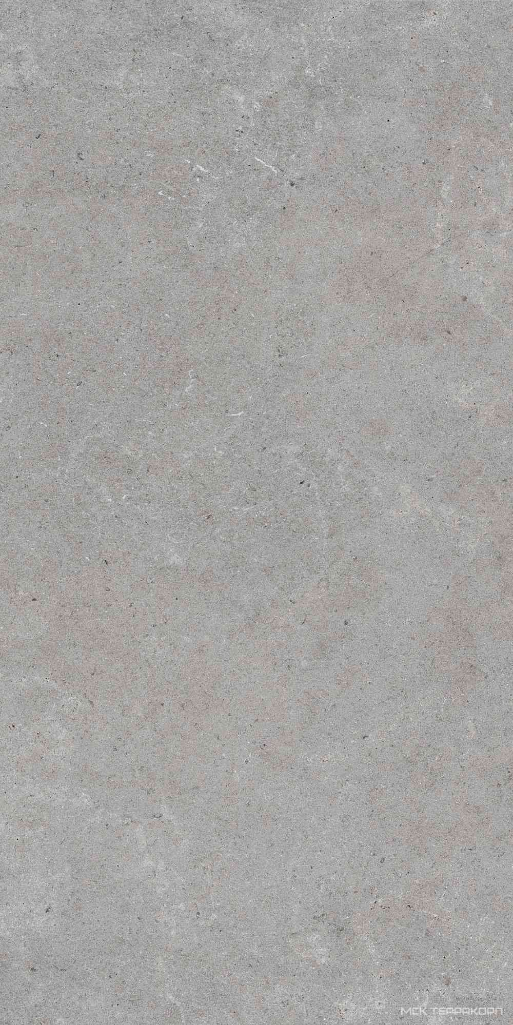 Monochrom 2062 Серый Темный  Матовый 60х120