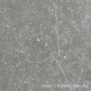 Керамогранит для пола и стены Benadresa Pietra Antica  Grigio 80x80 n149412