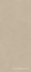 Керамическая плитка для стены Atlas Concorde Italy Boost Natural  Ash 50X120 A64Q