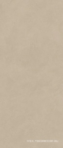 Керамическая плитка для стены Atlas Concorde Italy Boost Natural  Ash 50X120 A64Q