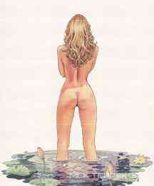 Manara Miele P13 / BG 18 ZZ |150x180