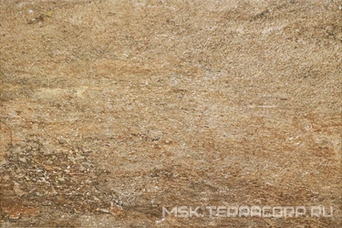 Oyster Beige XX |40x60