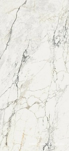 Керамогранит для пола и стены La Faenza Aesthetica AE PAO6 260 LP 120x260 XX n140745