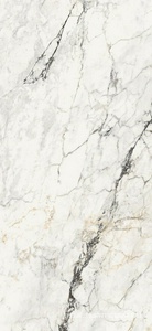 Керамогранит для пола и стены La Faenza Aesthetica AE PAO6 260 LP 120x260 XX n140745