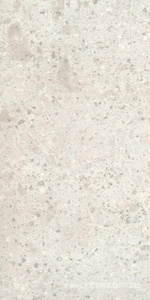 Керамогранит для пола и стены Ariostea Fragmenta Bianco Greco Soft 60x120 P612616