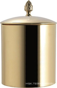Ведро для мусора с крышкой, d22хh29см, 10л, (цв.золото), TW ZZ TW Collection Универсальная TWSSS6501ORO
