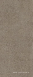 Boost Stone  Taupe 120x278