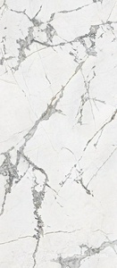 Керамогранит для пола и стены Sadon Canova  Invisible White Lappato 120x280 J90939