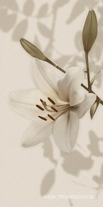 Керамическая плитка для стены Gardenia Orchidea Gioia  Decoro Lilium (6pz) ZZ60x120 PF09651