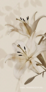 Керамическая плитка для стены Gardenia Orchidea Gioia  Decoro Lilium (6pz) ZZ60x120 PF09651